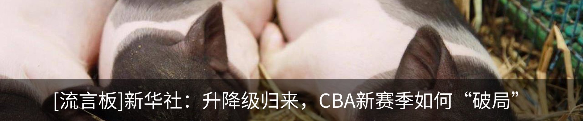 行业资讯